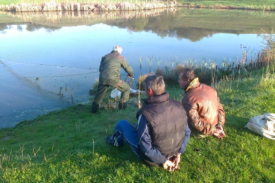  GREENFISH - asteptam sa se intample si la noi.....mai des!!!
